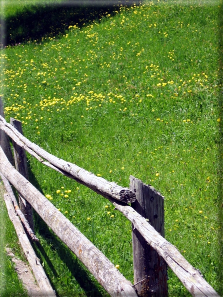 foto Valle San Silvestro